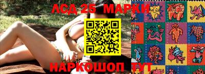 Альфа ПВП Аргун