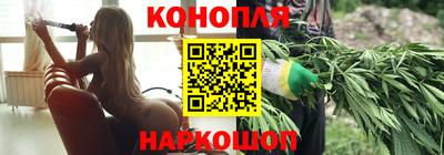 Альфа ПВП Аргун