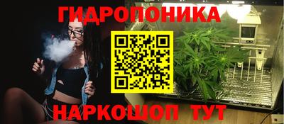 Альфа ПВП Аргун