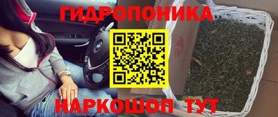 jwh Апшеронск
