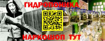 Альфа ПВП Аргун